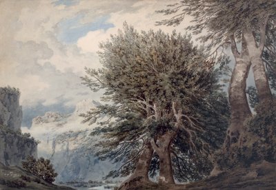 Paesaggio montuoso con faggi, 1792 da John Robert Cozens